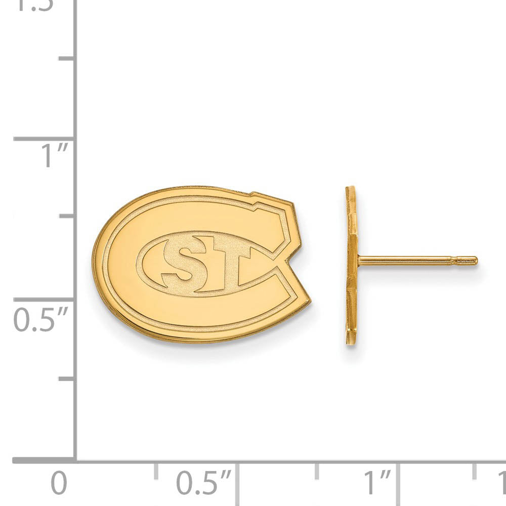 Alternate view of the 14k Yellow Gold St. Cloud State Small Post Earrings by The Black Bow Jewelry Co.