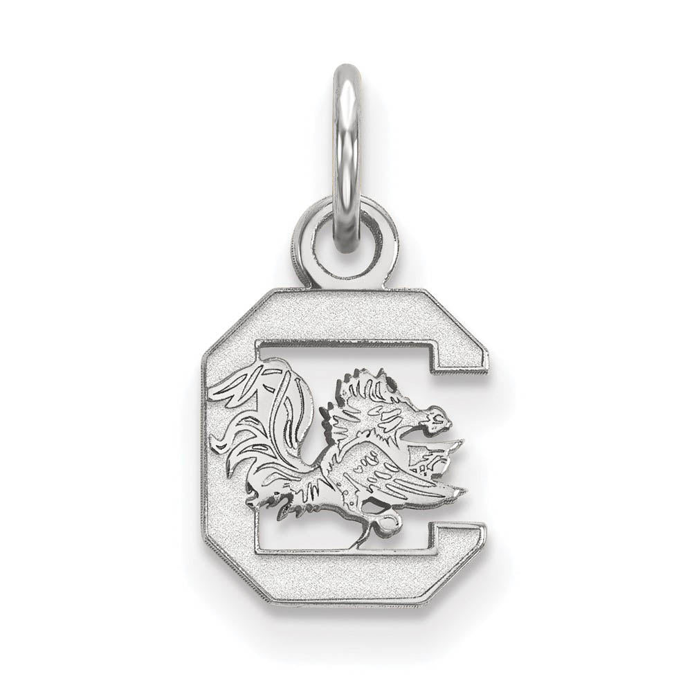 Sterling Silver South Carolina XS (Tiny) Logo Charm or Pendant, Item P14988 by The Black Bow Jewelry Co.