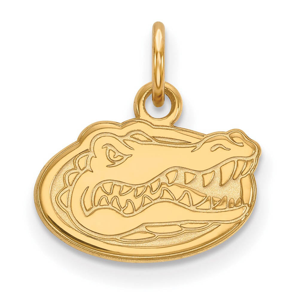 10k Yellow Gold U of Florida XS (Tiny) Mascot Charm or Pendant, Item P22825 by The Black Bow Jewelry Co.