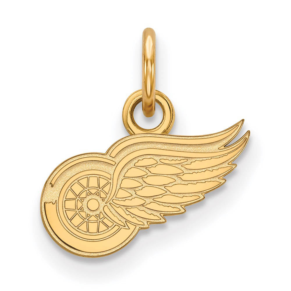 10k Yellow Gold NHL Detroit Red Wings XS (Tiny) Charm or Pendant, Item P29706 by The Black Bow Jewelry Co.