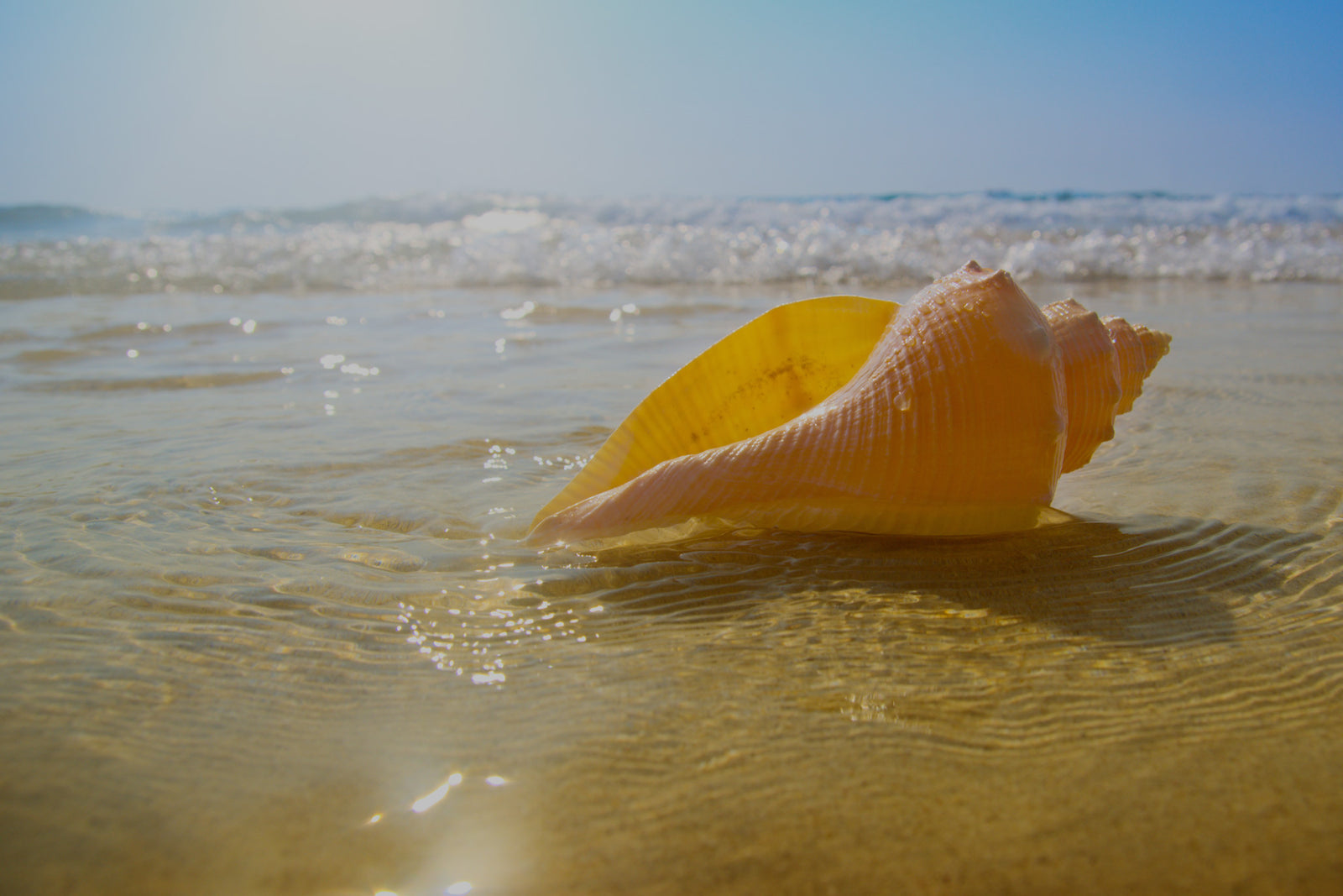 Beachcomber's Bracelets by The Black Bow Jewelry Company