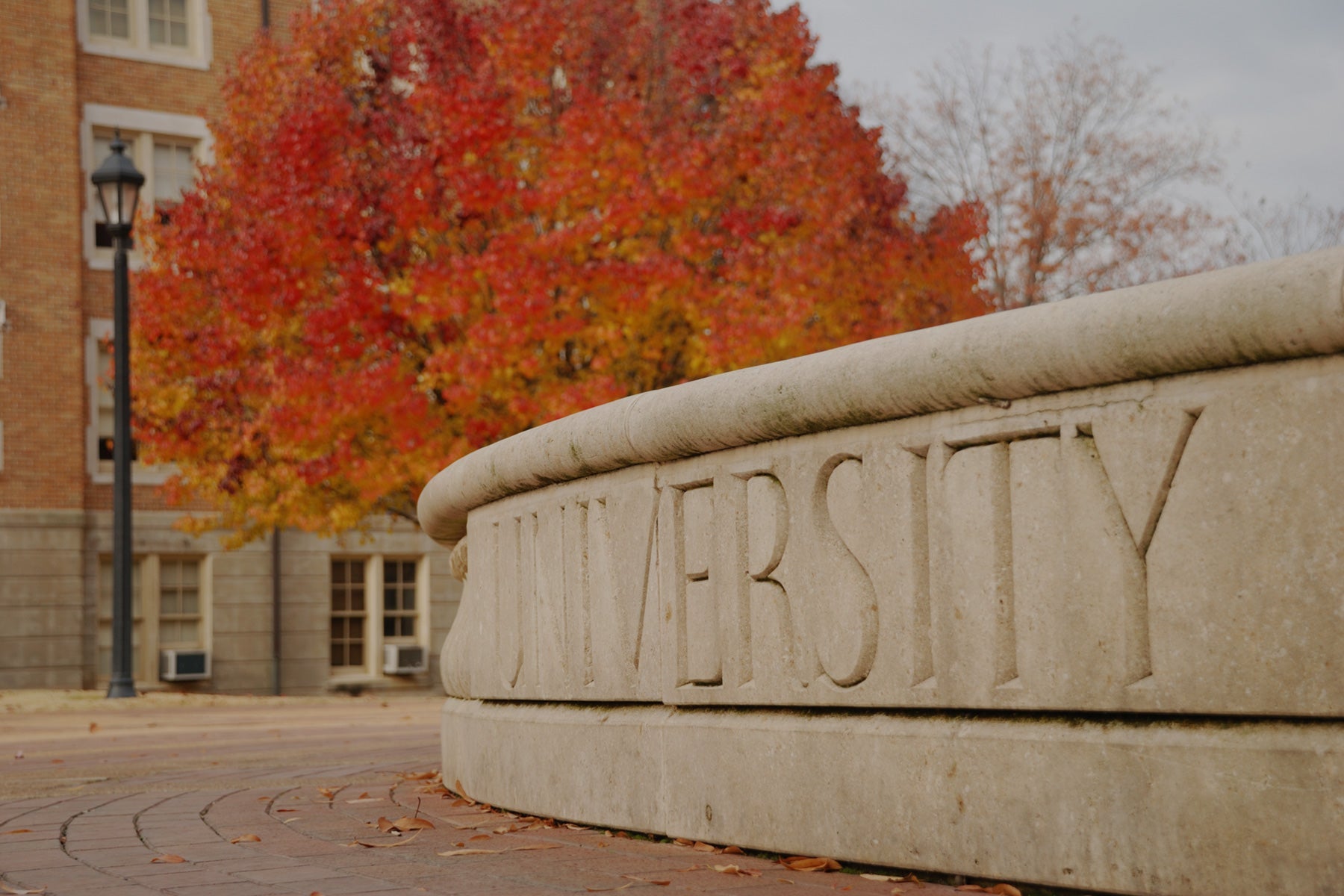 Northwestern University Jewelry Collection by The Black Bow Jewelry Co.