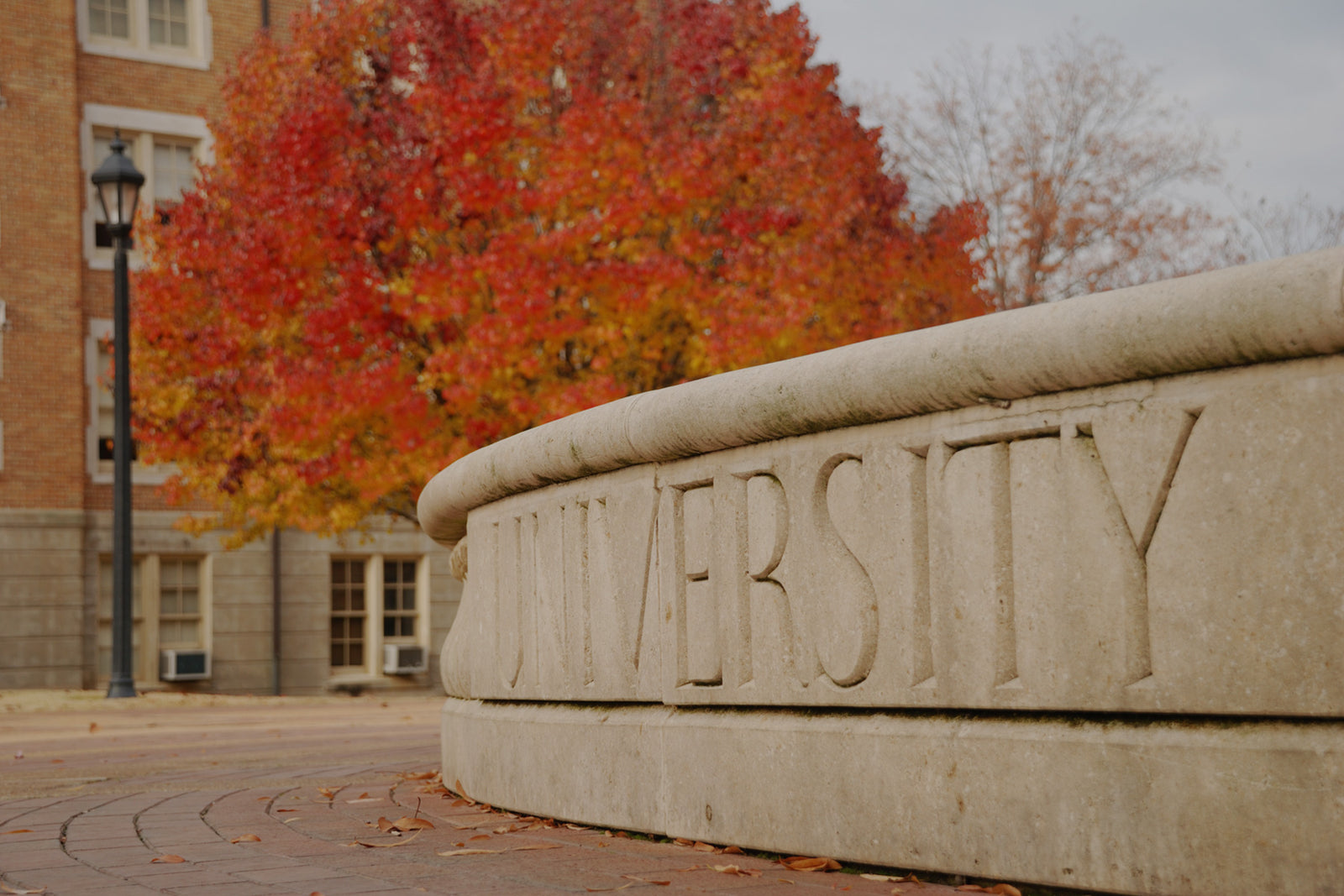 North Carolina State University Jewelry by The Black Bow Jewelry Company