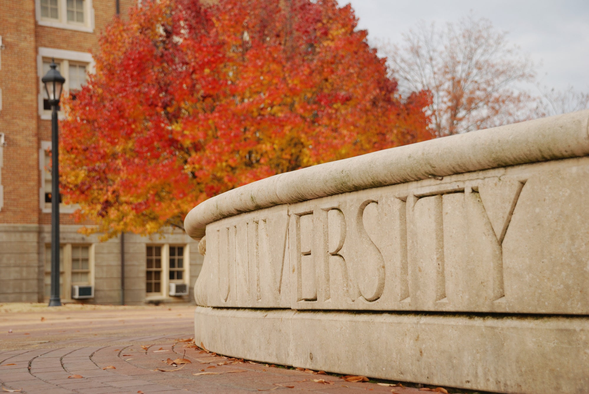 Eastern Michigan University Jewelry Collection by The Black Bow Jewelry Company