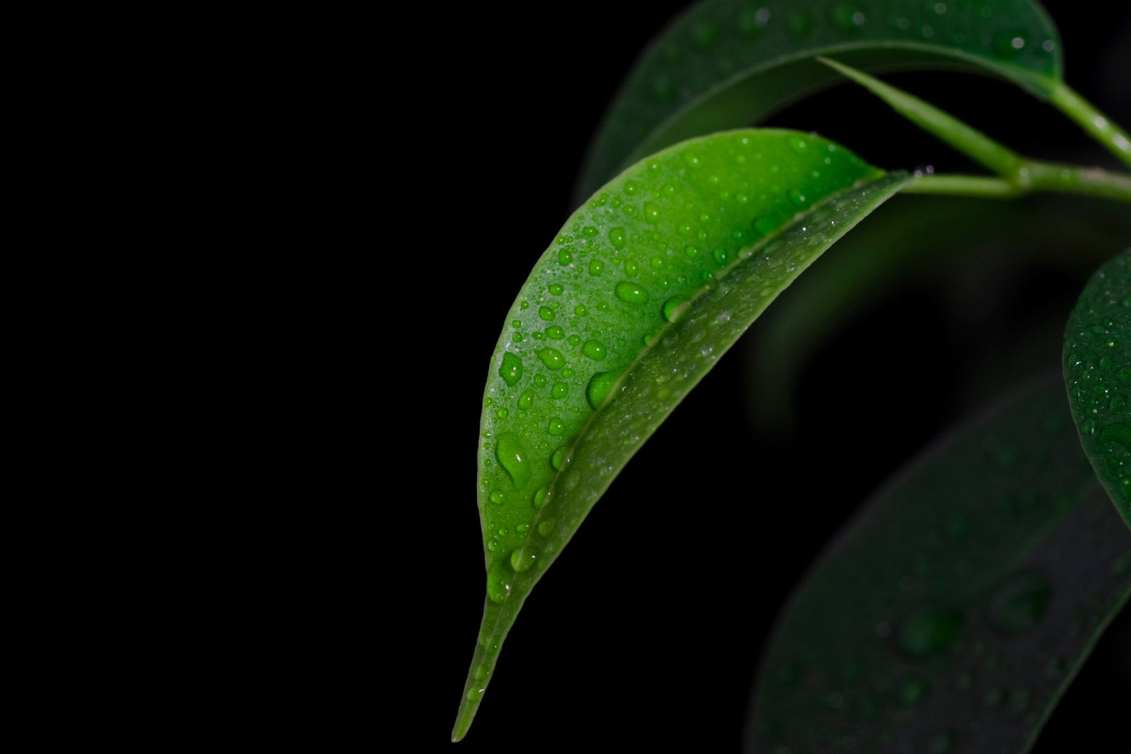 Engravable Cuff Links by The Black Bow Jewelry Co.