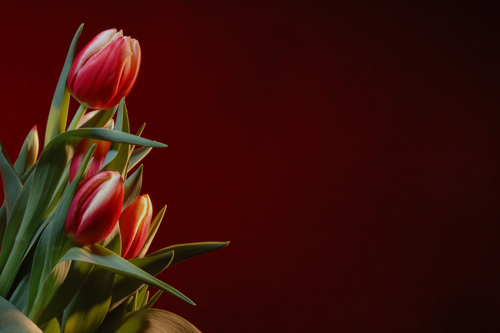 Hearts and Love Collection by The Black Bow Jewelry Company