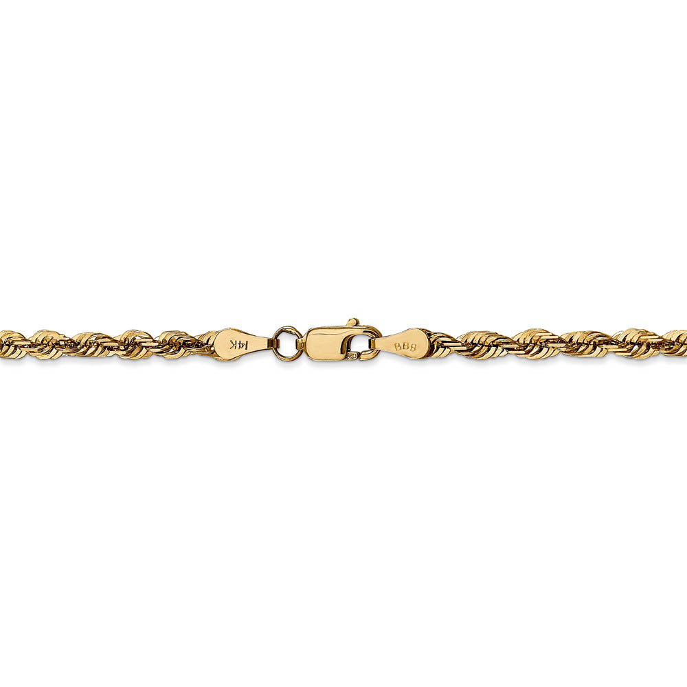 Alternate view of the 14k Yellow Gold 4mm Diamond Cut Rope Chain Anklet, 9 Inch by The Black Bow Jewelry Co.