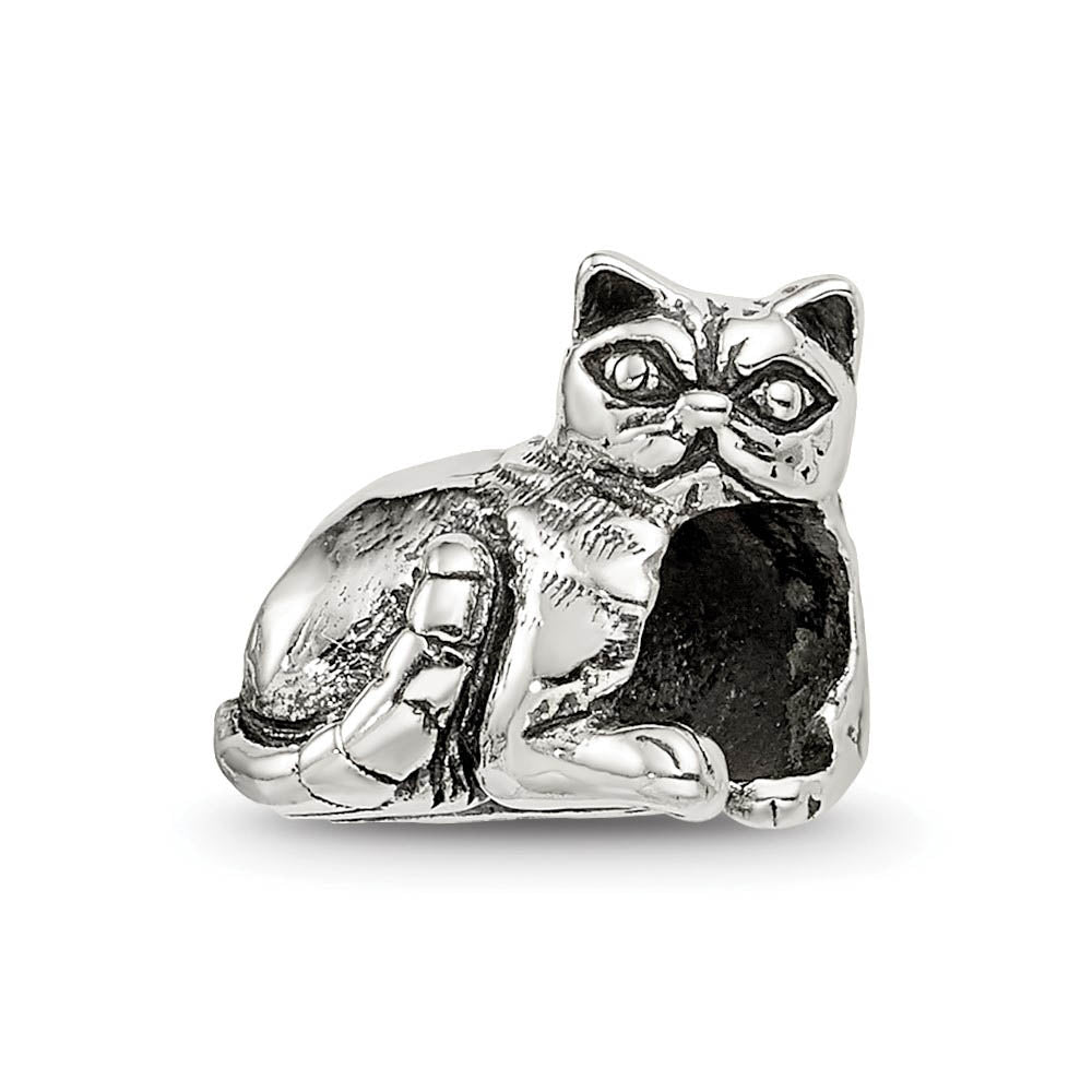 Sterling Silver Exotic Shorthair Cat Bead Charm, Item B10574 by The Black Bow Jewelry Co.