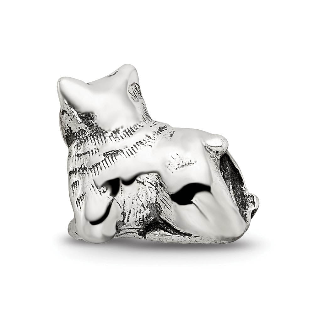 Alternate view of the Sterling Silver Exotic Shorthair Cat Bead Charm by The Black Bow Jewelry Co.