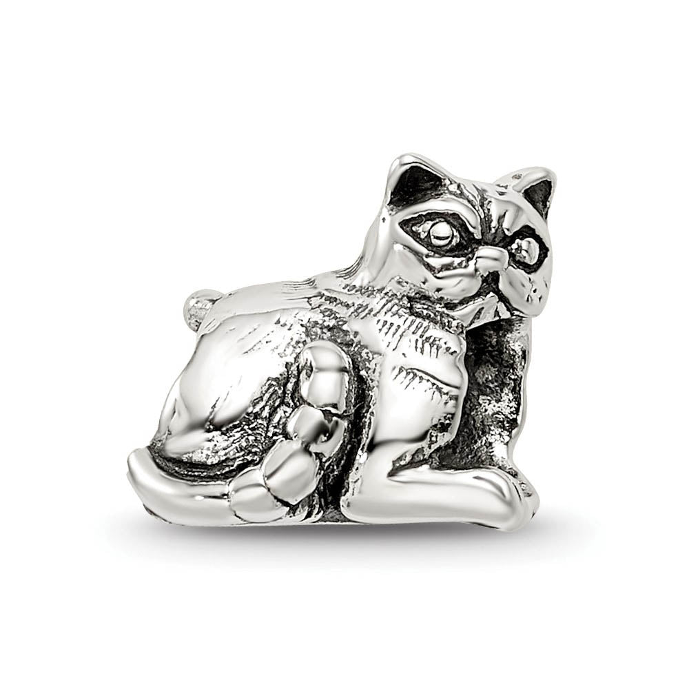 Alternate view of the Sterling Silver Exotic Shorthair Cat Bead Charm by The Black Bow Jewelry Co.