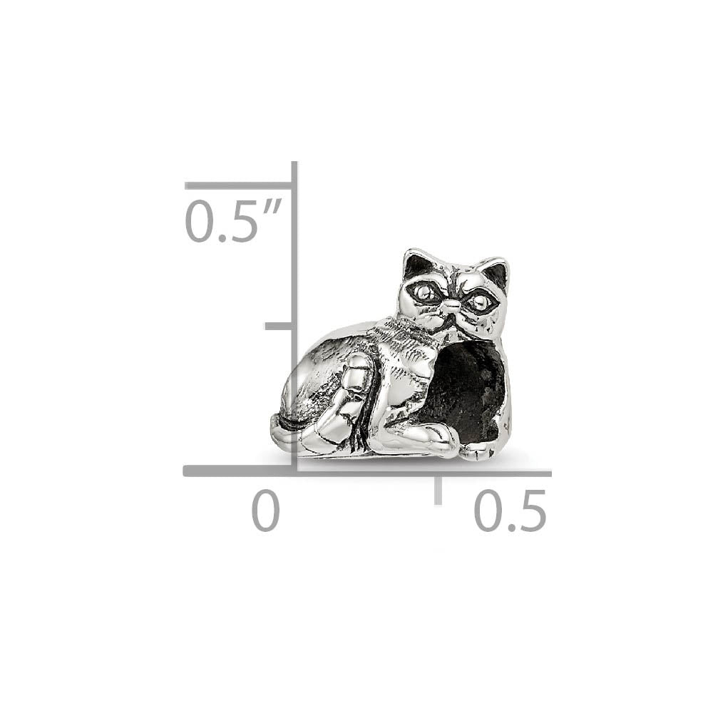 Alternate view of the Sterling Silver Exotic Shorthair Cat Bead Charm by The Black Bow Jewelry Co.