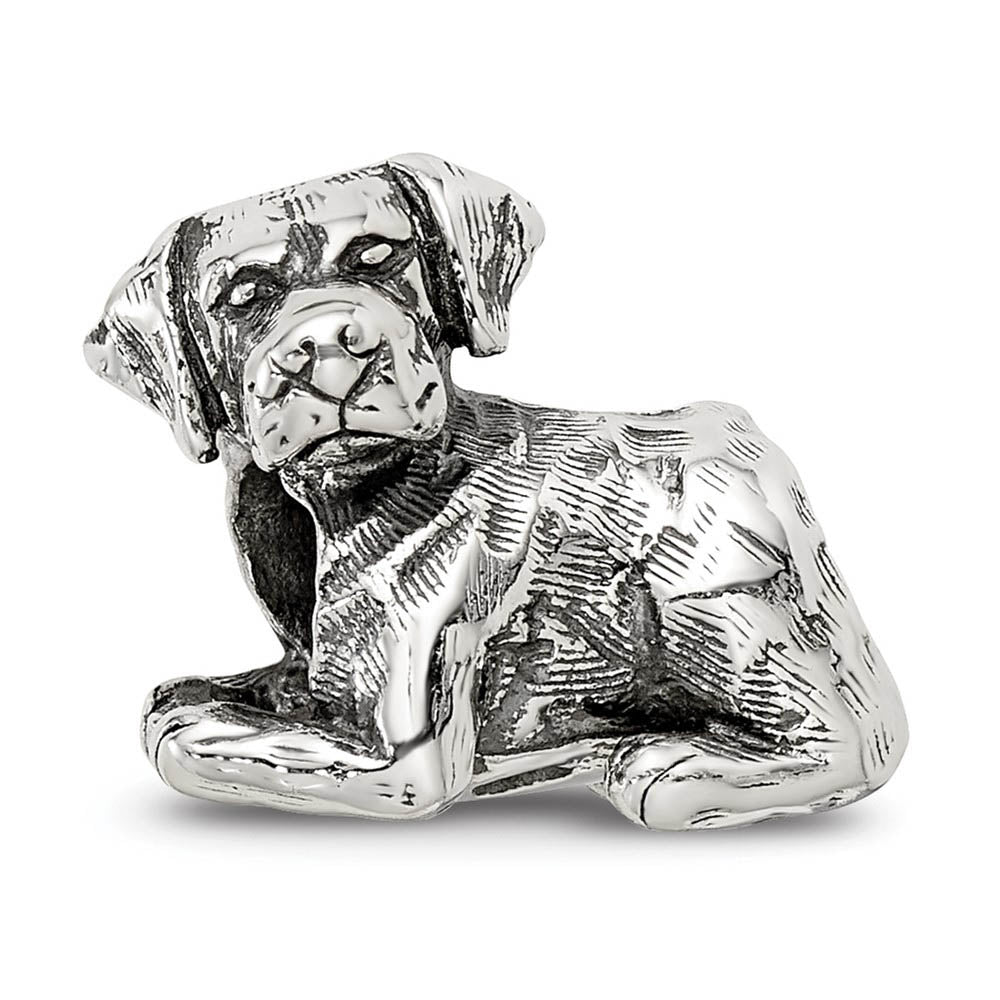 Alternate view of the Sterling Silver Labrador Retriever Bead Charm by The Black Bow Jewelry Co.