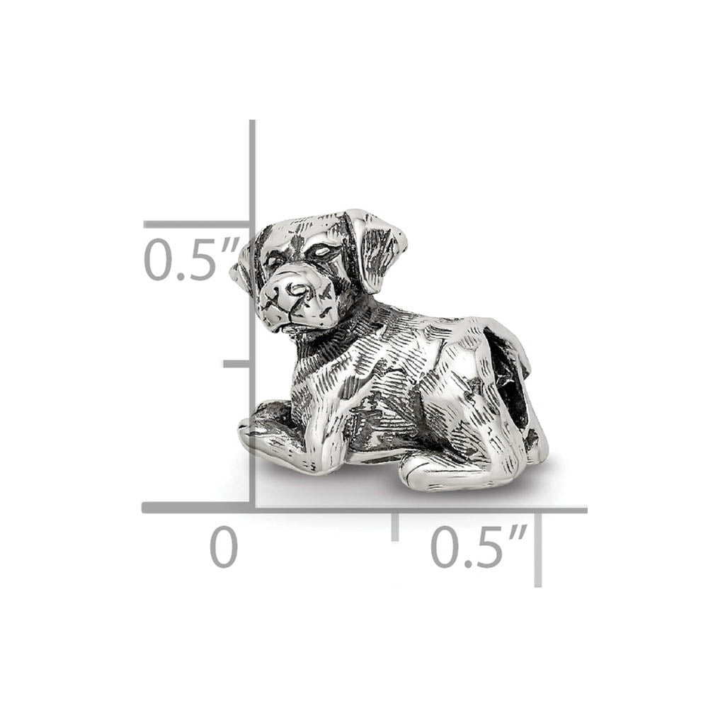 Alternate view of the Sterling Silver Labrador Retriever Bead Charm by The Black Bow Jewelry Co.