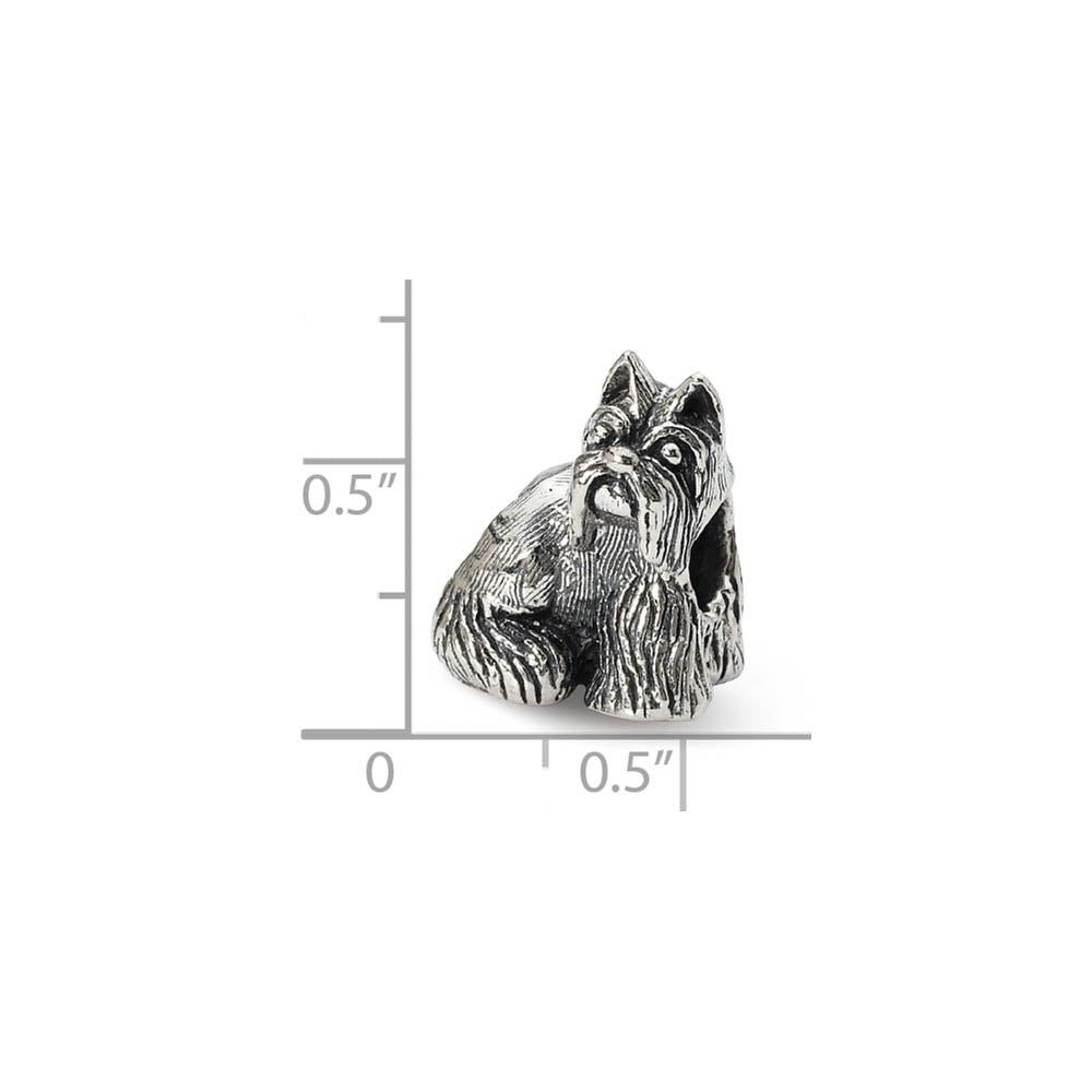 Alternate view of the Sterling Silver Miniature Schnauzer Bead Charm by The Black Bow Jewelry Co.
