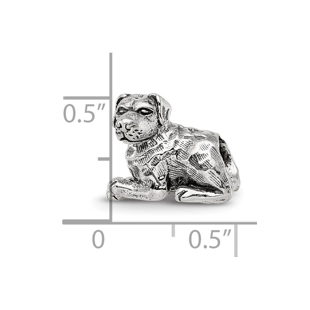 Alternate view of the Sterling Silver Rottweiler Bead Charm by The Black Bow Jewelry Co.