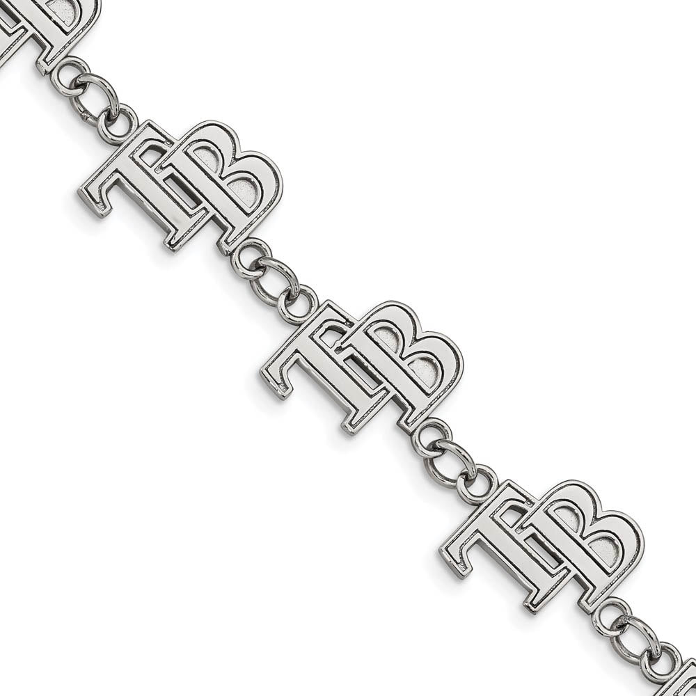 Stainless Steel MLB Tampa Bay Rays Link Bracelet, 7.25 to 8.75 Inch, Item B19653 by The Black Bow Jewelry Co.
