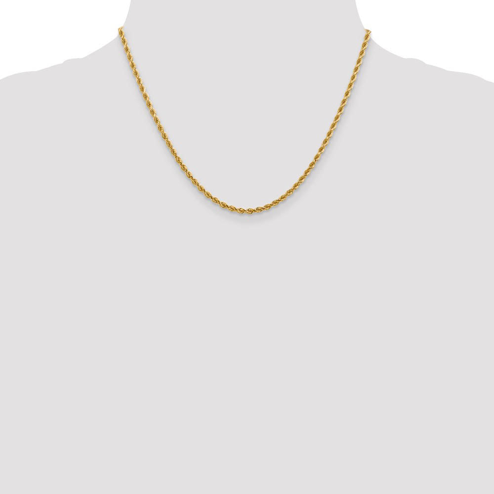Alternate view of the 2.75mm 14k Yellow Gold Solid Light Diamond Cut Rope Chain Necklace by The Black Bow Jewelry Co.