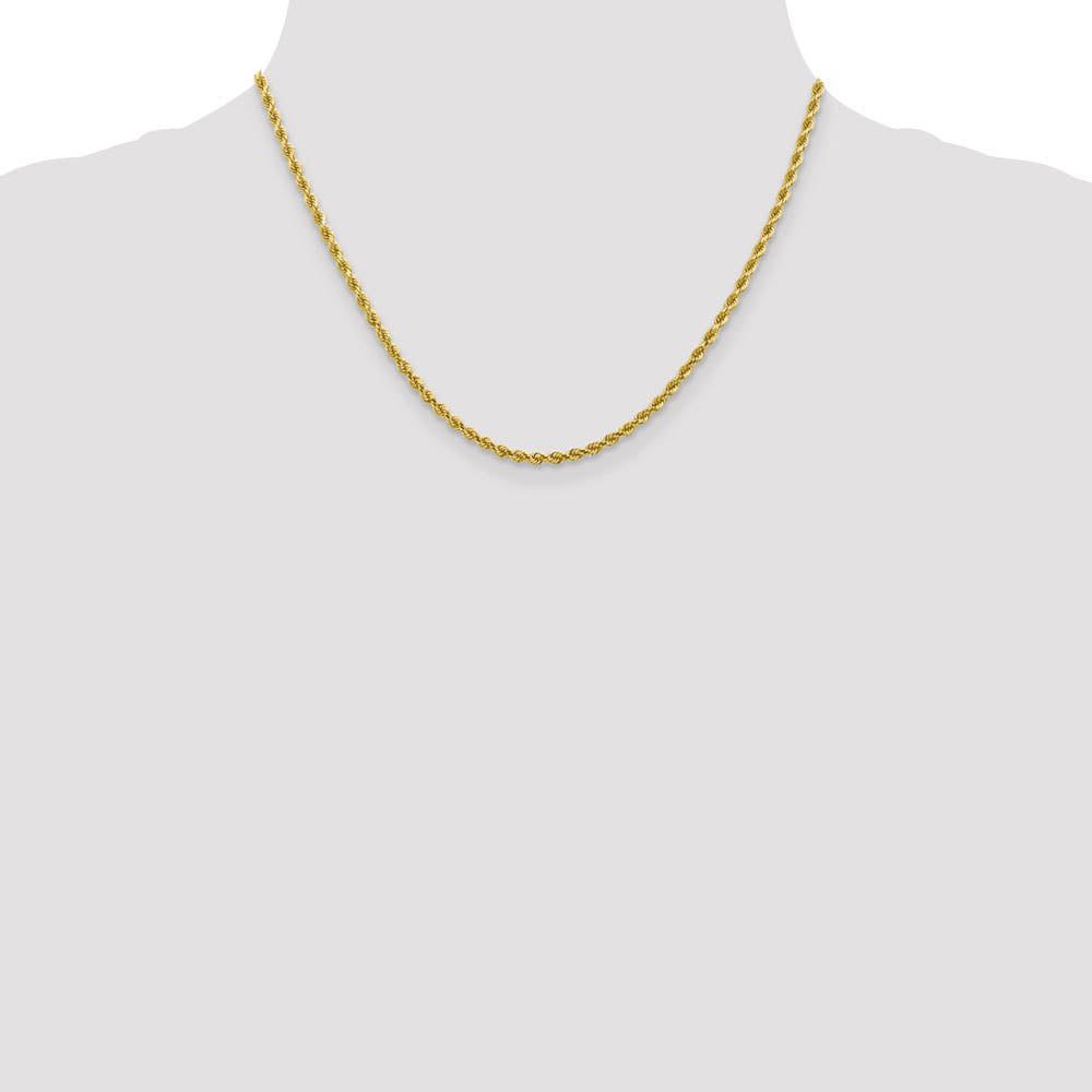 Alternate view of the 2.75mm 10k Yellow Gold Solid Diamond Cut Rope Chain Necklace by The Black Bow Jewelry Co.