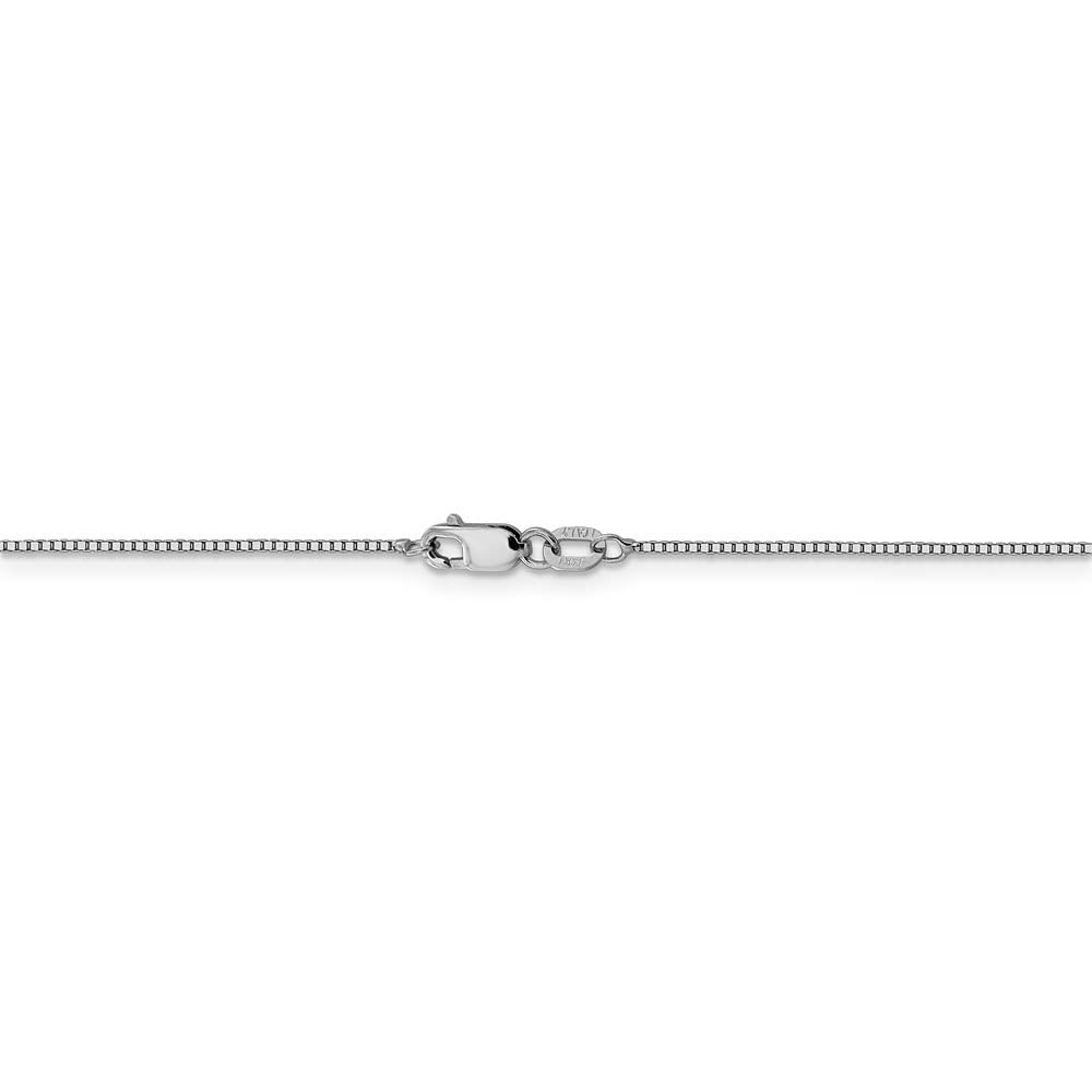 Alternate view of the 0.8mm 14k White Gold Solid Box Chain Lobster Clasp Necklace by The Black Bow Jewelry Co.