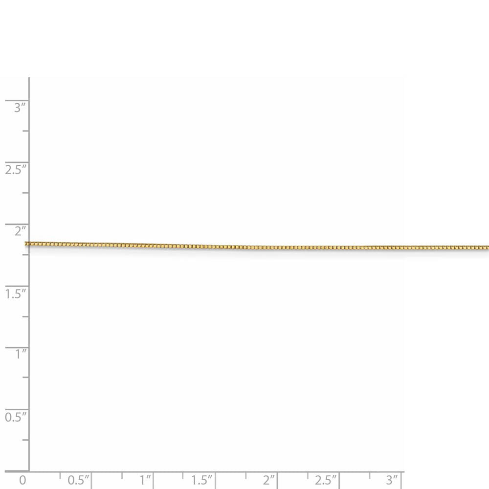 Alternate view of the 0.8mm 14k Yellow Gold Solid Box Chain Lobster Clasp Necklace by The Black Bow Jewelry Co.