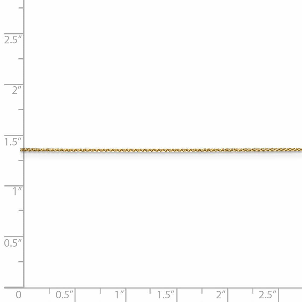 Alternate view of the 0.65mm 14k Yellow Gold Diamond Cut Spiga Chain Necklace by The Black Bow Jewelry Co.