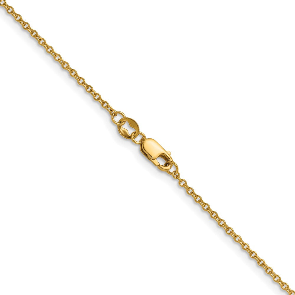 Alternate view of the 1/20 14K Gold Filled 1.6mm Solid Cable Chain Necklace by The Black Bow Jewelry Co.
