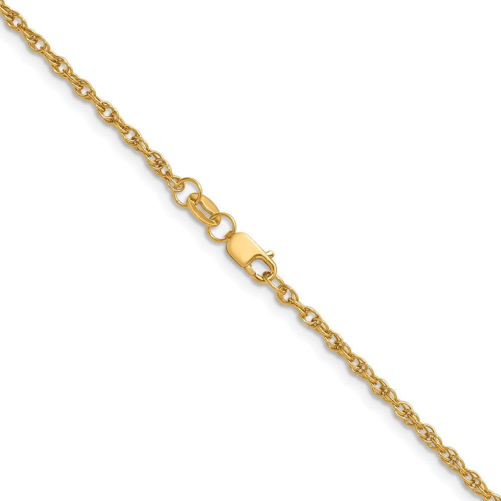 Alternate view of the 1/20 14K Gold Filled 2mm Solid Ropa Chain Necklace by The Black Bow Jewelry Co.