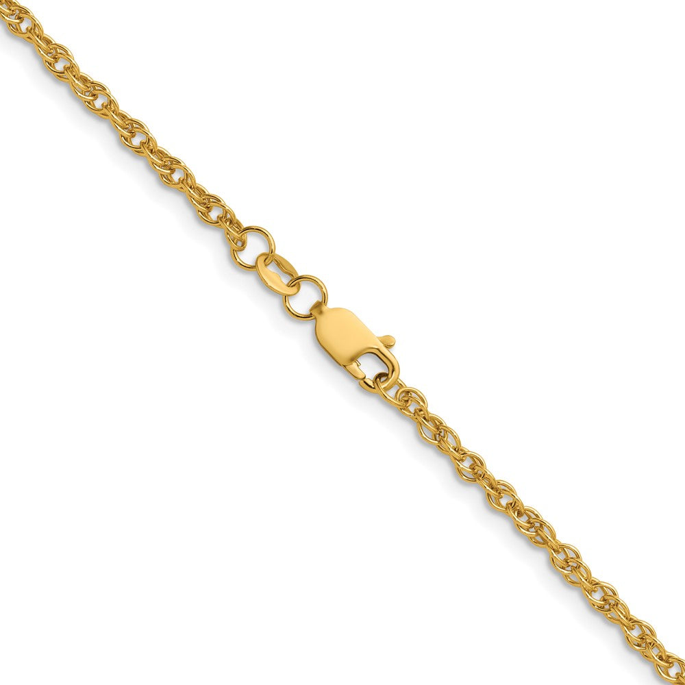 Alternate view of the 1/20 14K Gold Filled 2.5mm Solid Ropa Chain Necklace by The Black Bow Jewelry Co.