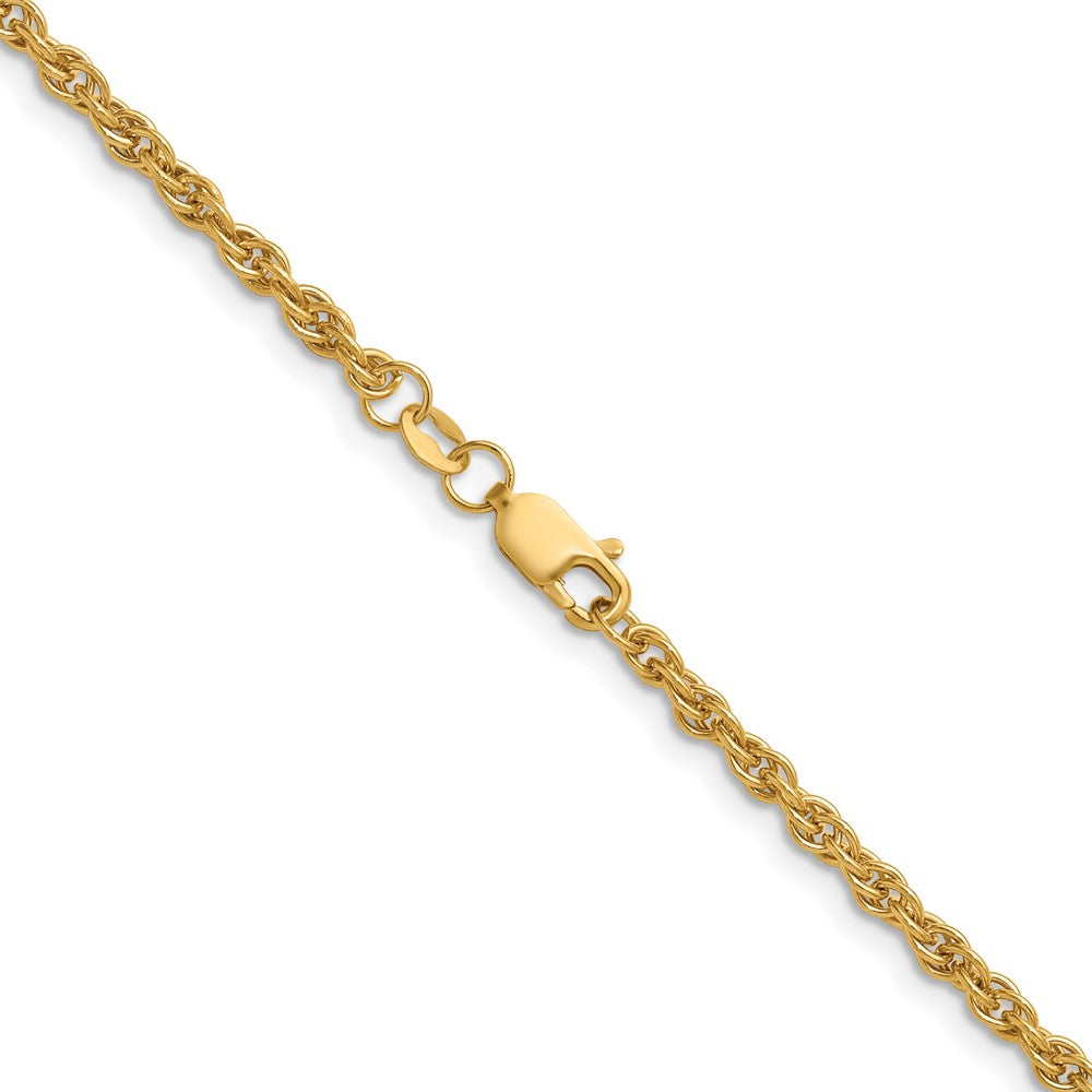 Alternate view of the 1/20 14K Gold Filled 2.9mm Solid Ropa Chain Necklace by The Black Bow Jewelry Co.