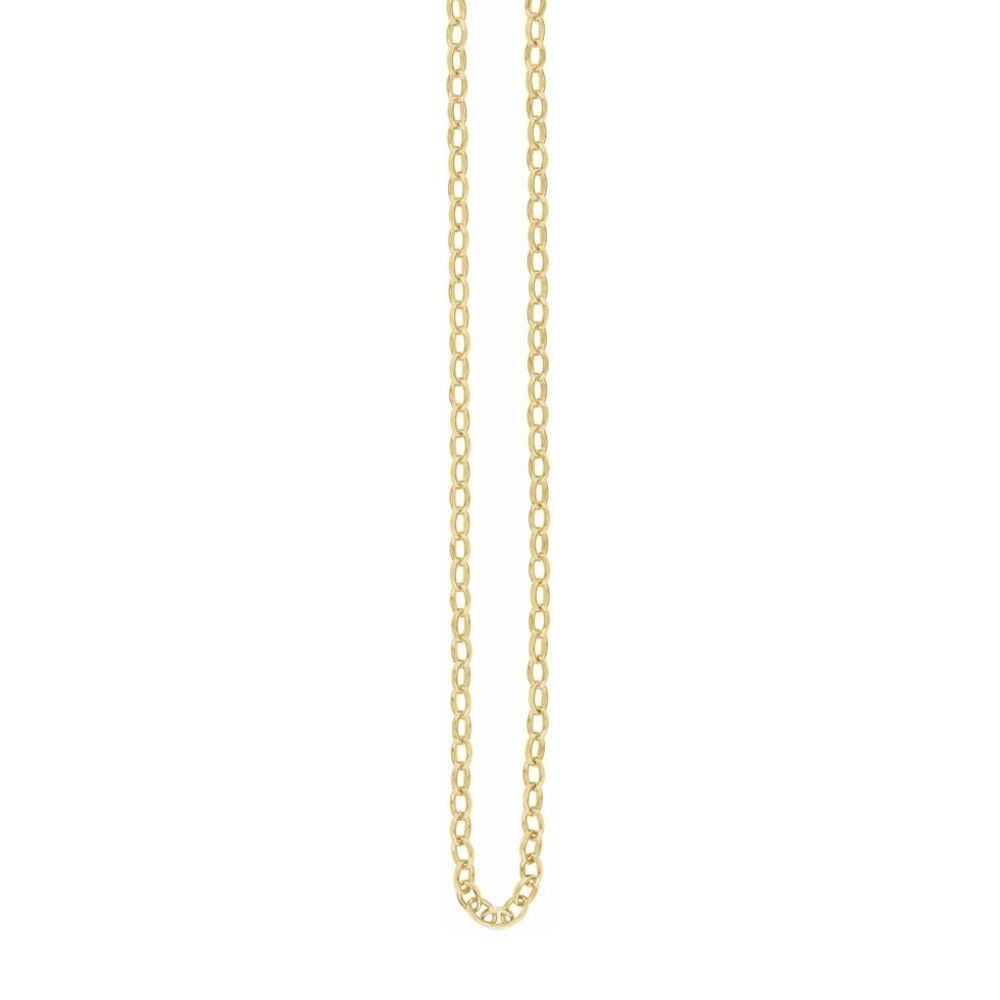 Alternate view of the 1/20 14K Yellow Gold Filled 5mm Solid Oval Rolo Chain Necklace by The Black Bow Jewelry Co.
