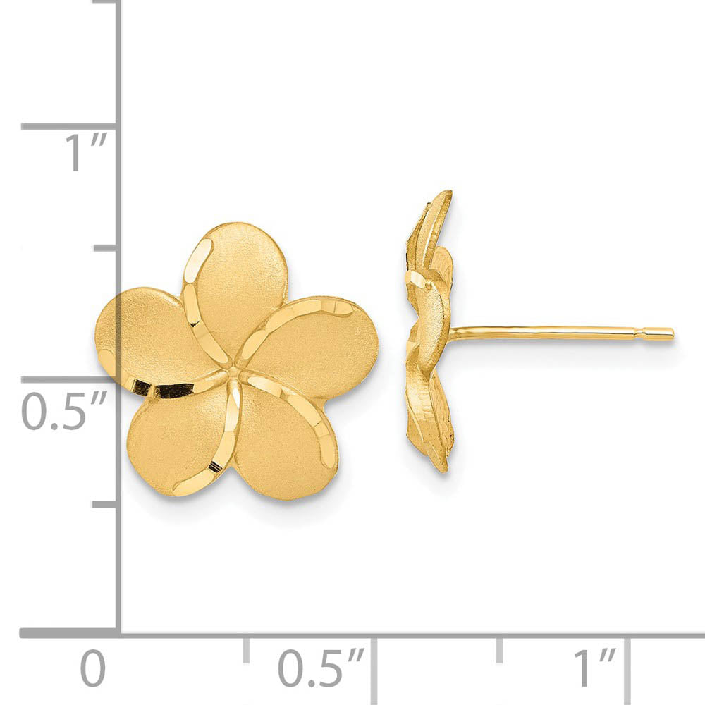 Alternate view of the 14mm Diamond Cut Plumeria French Wire Earrings in 14k Yellow Gold by The Black Bow Jewelry Co.