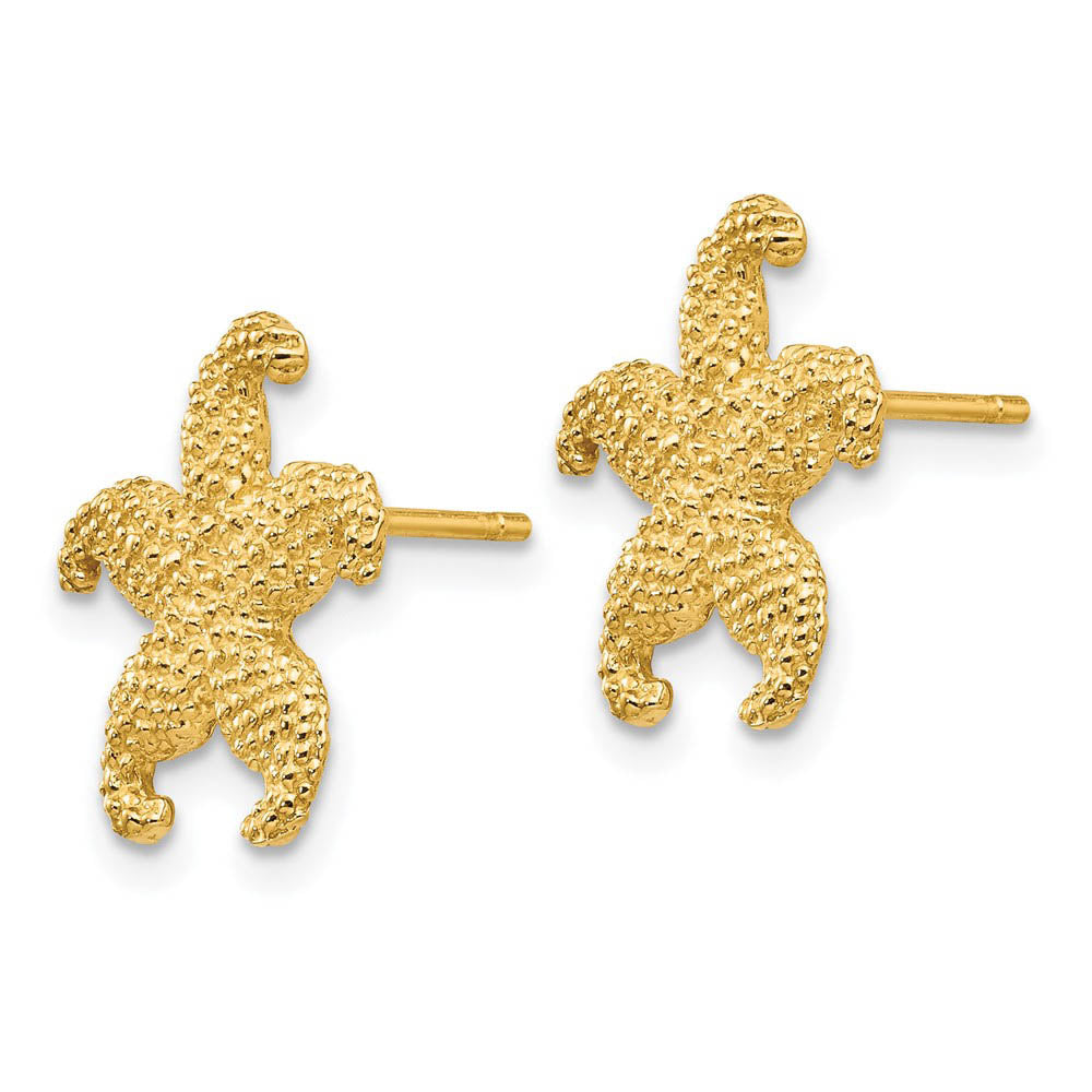 Alternate view of the 13mm Textured Starfish Post Earrings in 14k Yellow Gold by The Black Bow Jewelry Co.