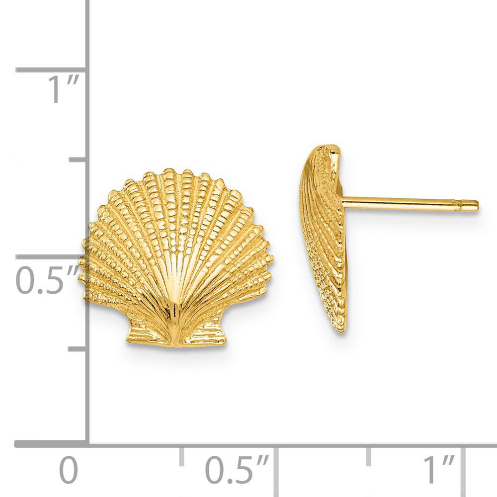 Alternate view of the 13mm Scalloped Shell Post Earrings in 14k Yellow Gold by The Black Bow Jewelry Co.