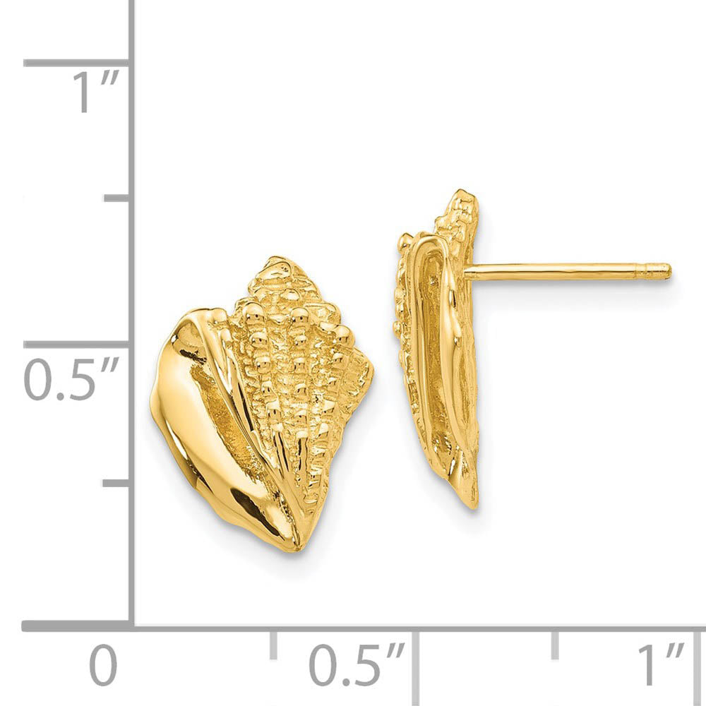 Alternate view of the Textured Conch Shell Post Earrings in 14k Yellow Gold by The Black Bow Jewelry Co.