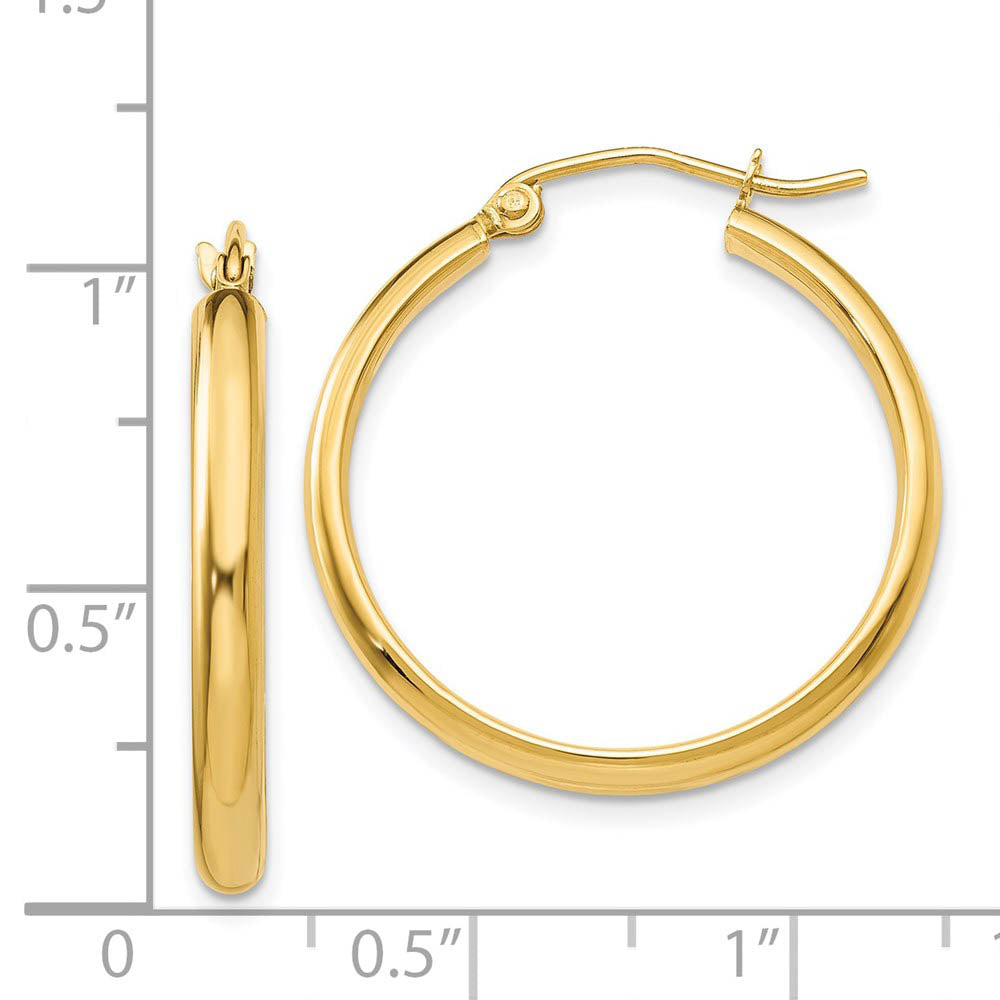 Alternate view of the 2.75mm x 25mm Polished 14k Yellow Gold Domed Round Hoop Earrings by The Black Bow Jewelry Co.