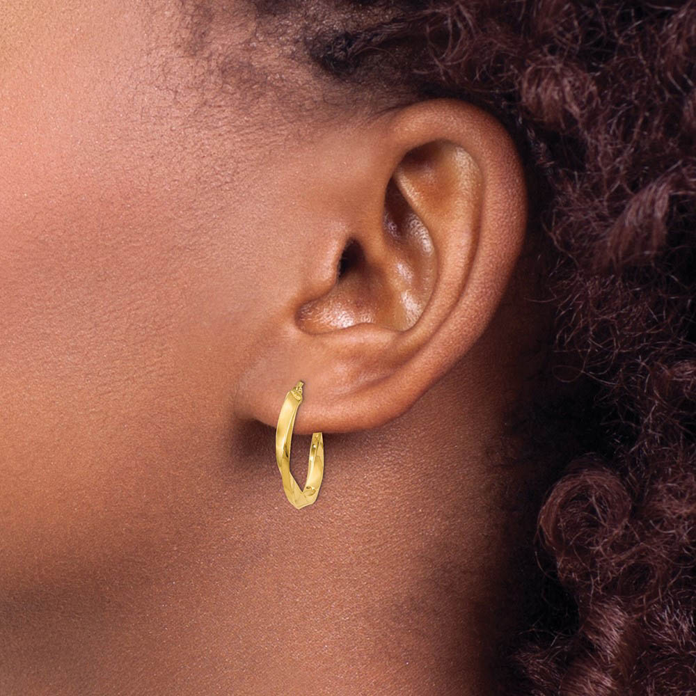 Alternate view of the 14k Yellow Gold Polished Twisted Round Hoop Earrings, 20mm (3/4 Inch) by The Black Bow Jewelry Co.