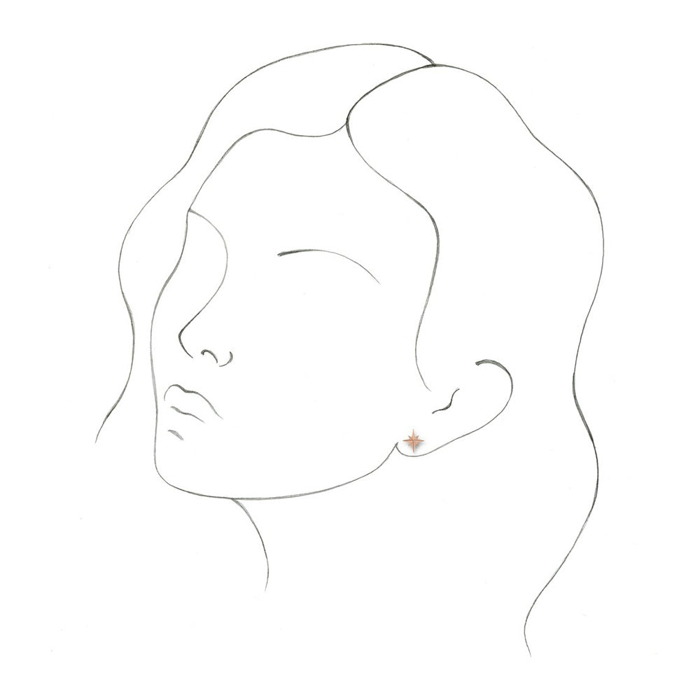 Alternate view of the 14K Rose Gold North Star Post Earrings, 9.5mm (3/8 Inch) by The Black Bow Jewelry Co.