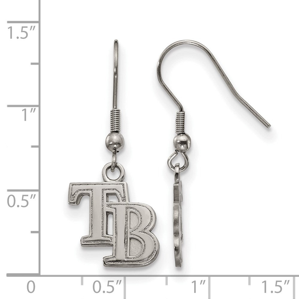 Alternate view of the Stainless Steel MLB Tampa Bay Rays SM Dangle Earrings by The Black Bow Jewelry Co.
