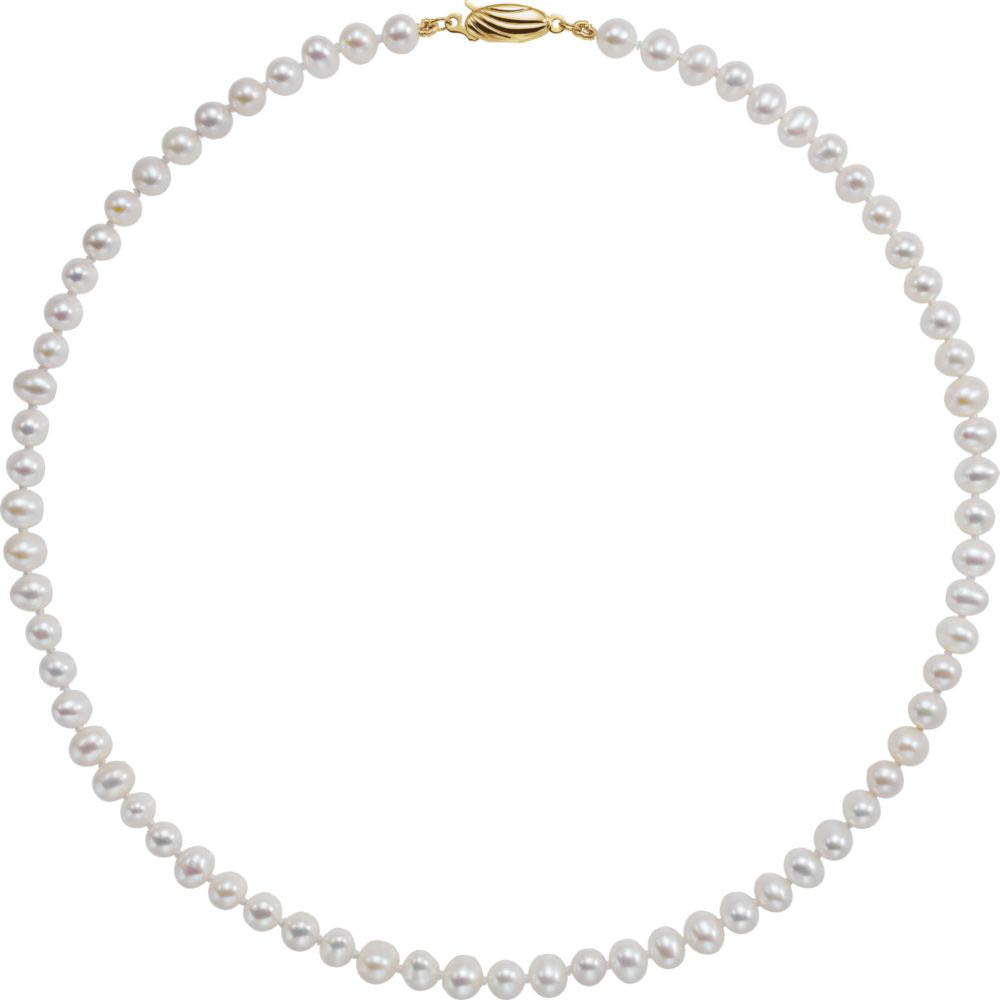 Alternate view of the 5.0-5.5mm, White FW Cultured Pearl & 14k Yellow Gold Necklace, 16 Inch by The Black Bow Jewelry Co.