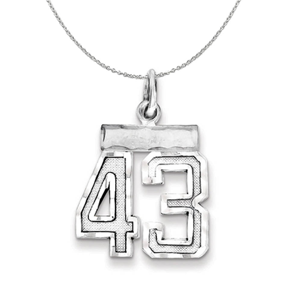 Sterling Silver, Varsity Collection, Small D/C Number 43 Necklace, Item N15408 by The Black Bow Jewelry Co.