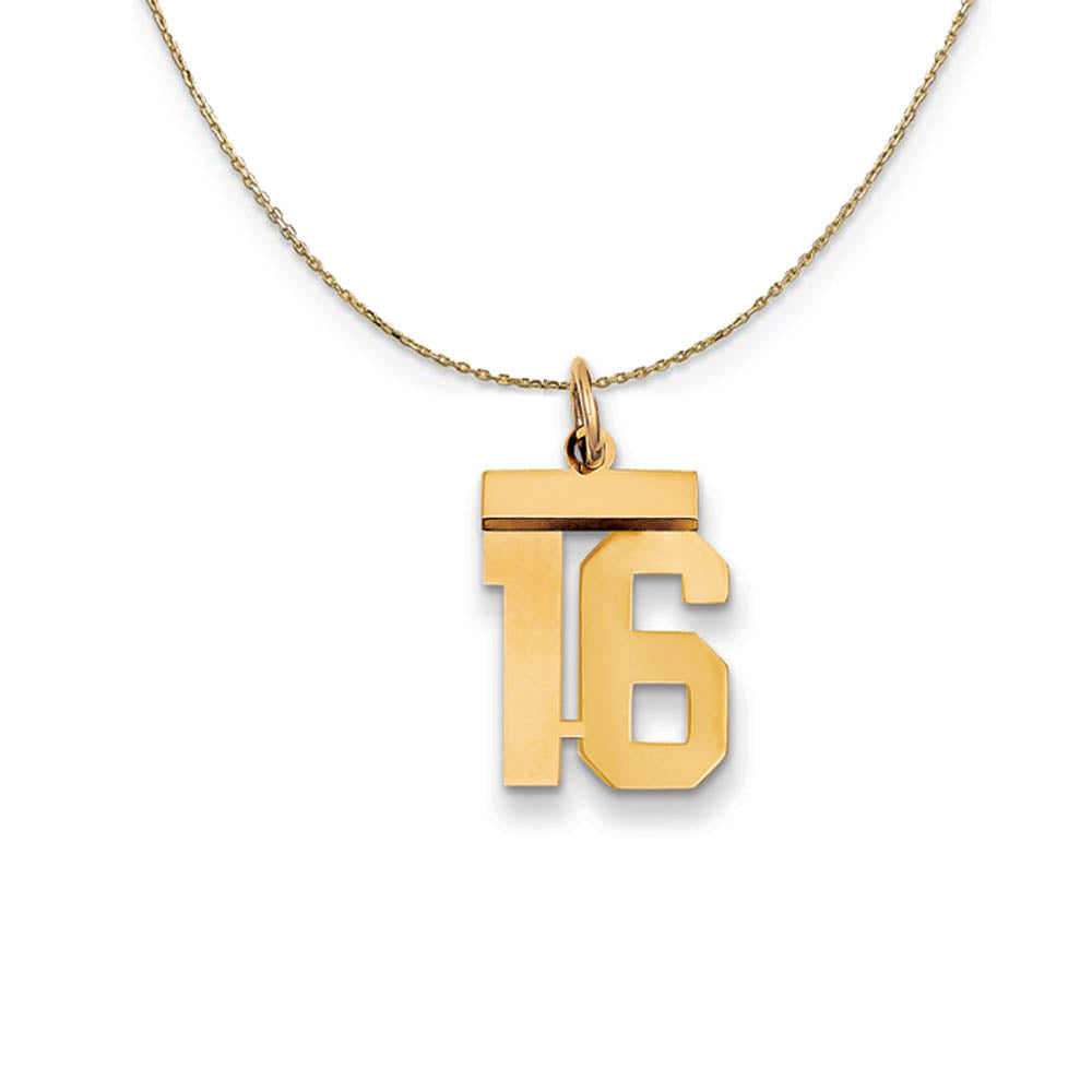 14k Yellow Gold, Athletic, Sm Polished Number 16 Necklace, Item N19683 by The Black Bow Jewelry Co.