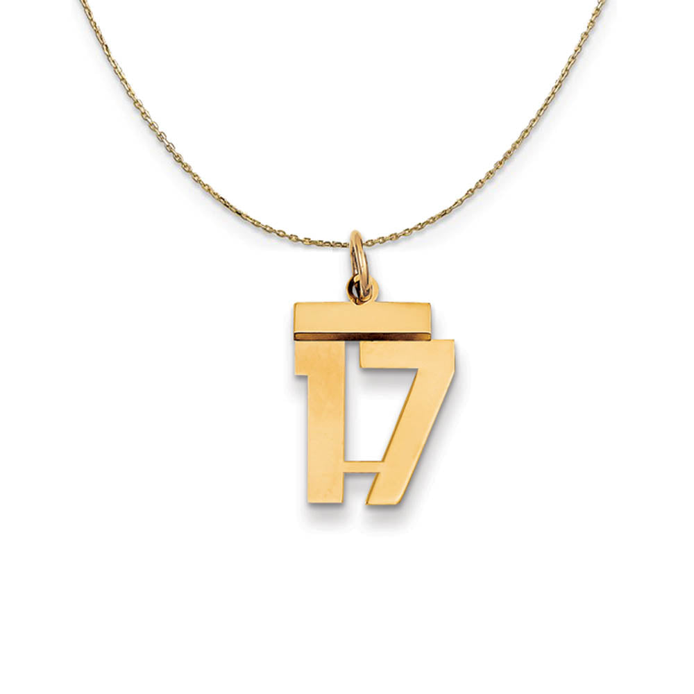 14k Yellow Gold, Athletic, Sm Polished Number 17 Necklace, Item N19684 by The Black Bow Jewelry Co.