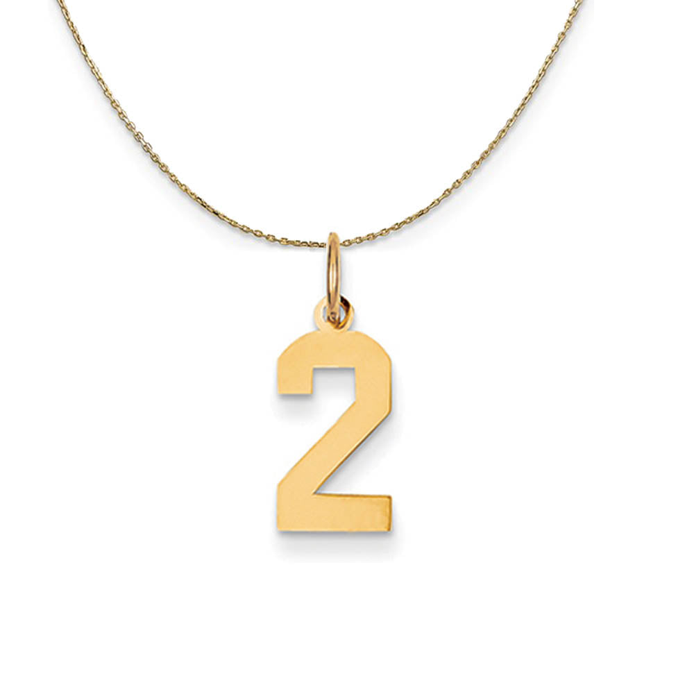 14k Yellow Gold, Athletic, Sm Polished Number 2 Necklace, Item N19687 by The Black Bow Jewelry Co.
