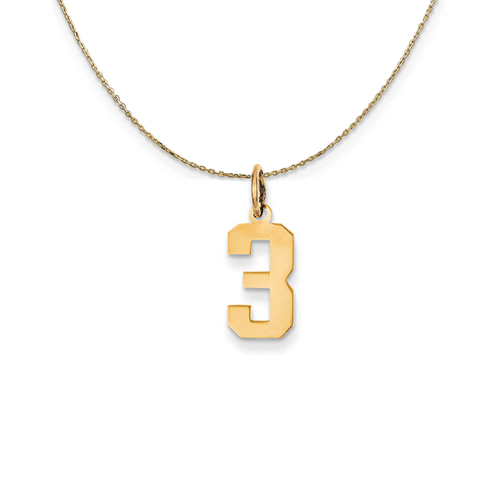 14k Yellow Gold, Athletic, Sm Polished Number 3 Necklace, Item N19698 by The Black Bow Jewelry Co.