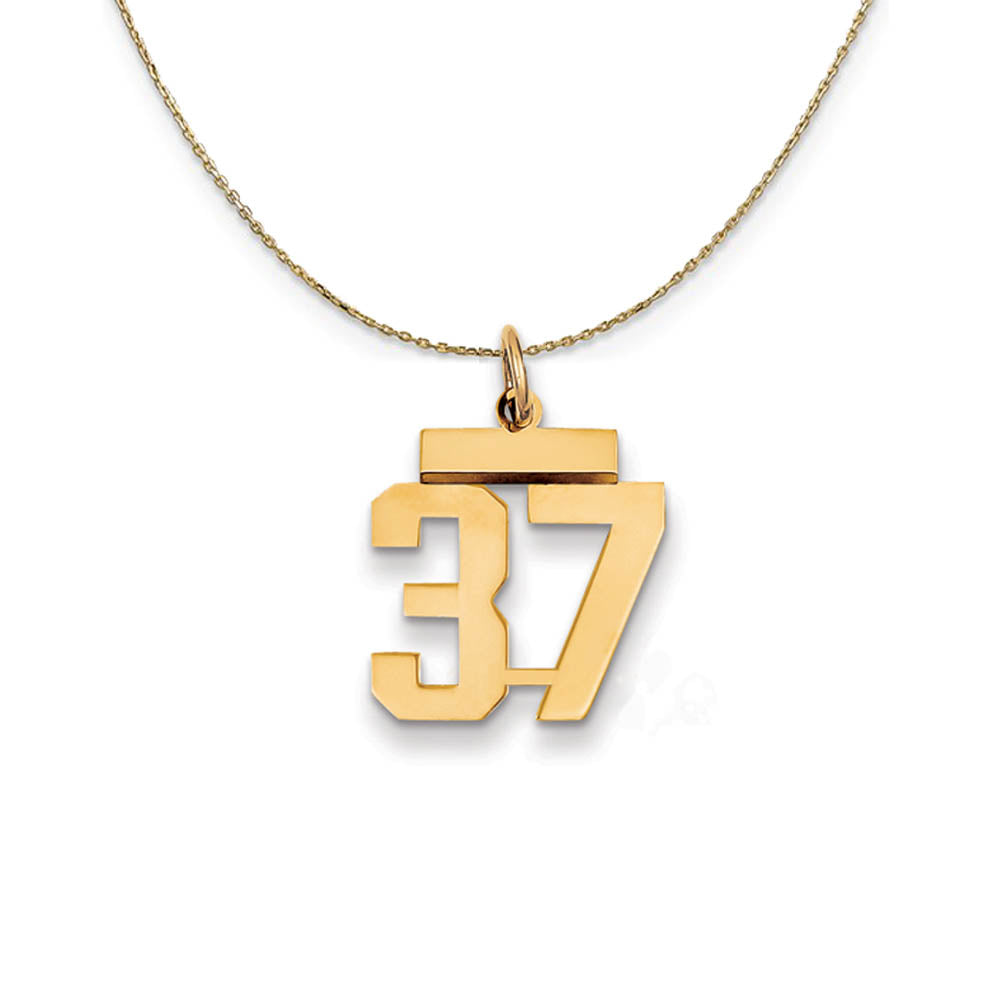 14k Yellow Gold, Athletic, Sm Polished Number 37 Necklace, Item N19706 by The Black Bow Jewelry Co.