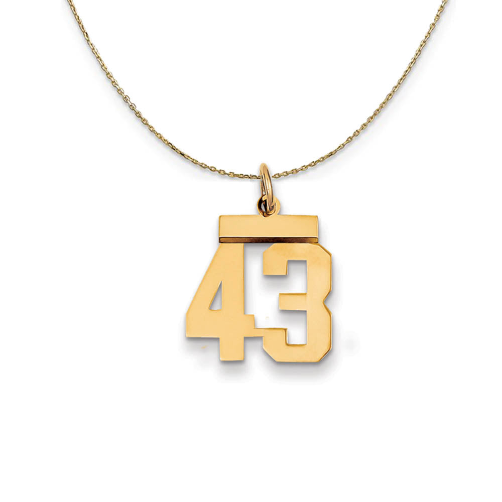 14k Yellow Gold, Athletic, Sm Polished Number 43 Necklace, Item N19713 by The Black Bow Jewelry Co.