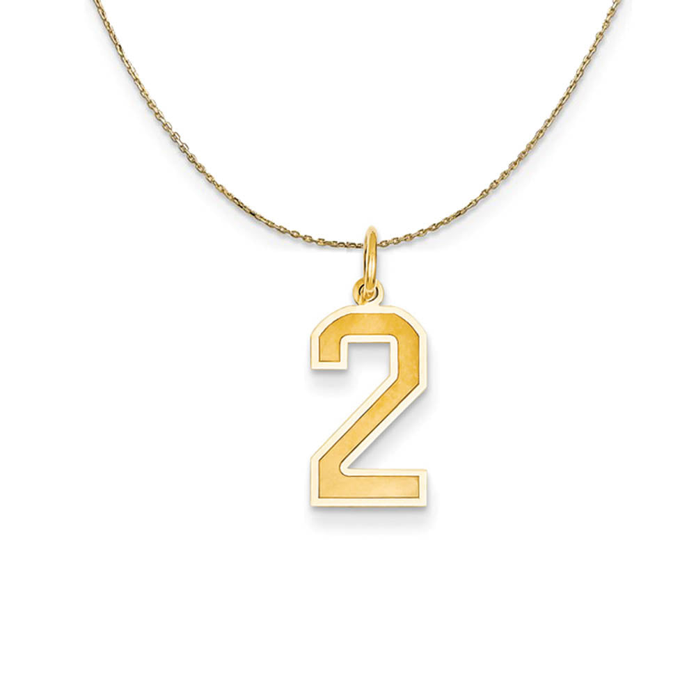 14k Yellow Gold, Jersey, Med Number 2 Necklace, Item N19787 by The Black Bow Jewelry Co.