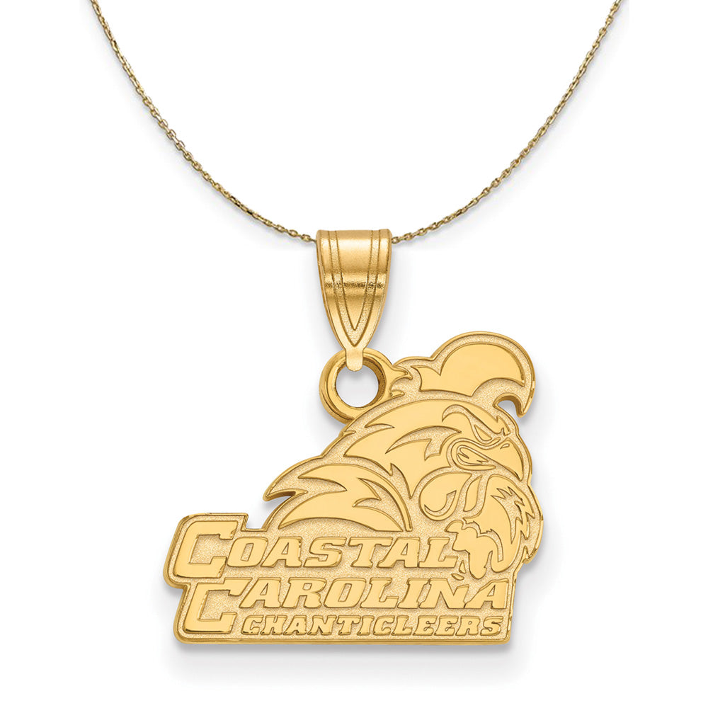 14k Yellow Gold Coastal Carolina U Small Necklace, Item N20765 by The Black Bow Jewelry Co.
