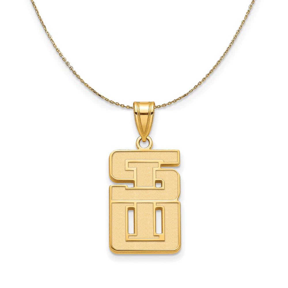 14k Yellow Gold Southern Illinois U. Small Necklace, Item N21217 by The Black Bow Jewelry Co.