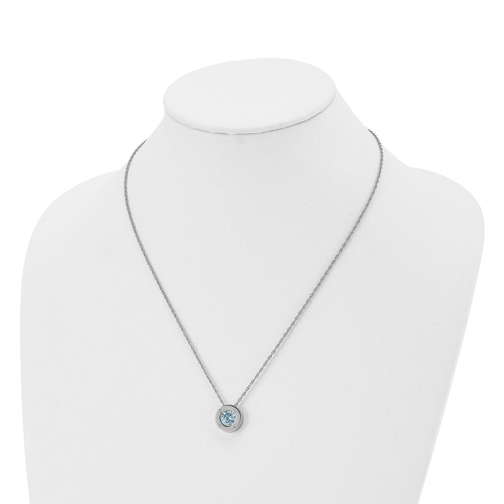 Alternate view of the Stainless Steel Small Polished CZ December Birthstone Necklace, 20 In by The Black Bow Jewelry Co.